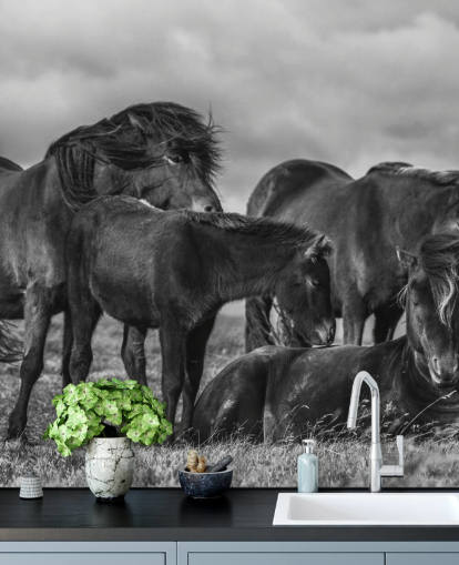 Papel pintado Caballos blancos y negros Papel pintado Caballos blancos y negros