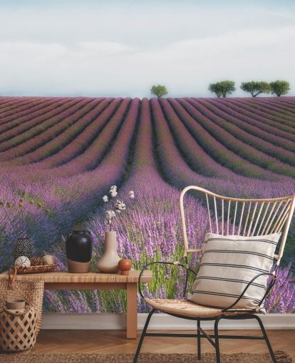 Rows of Lavender Wallpaper Rows of Lavender Wallpaper