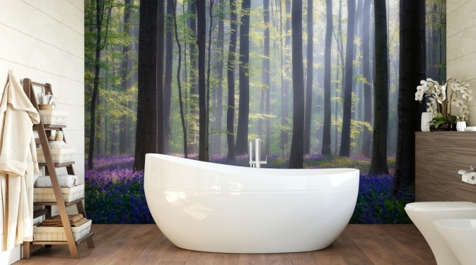 misty bluebell forest wallpaper