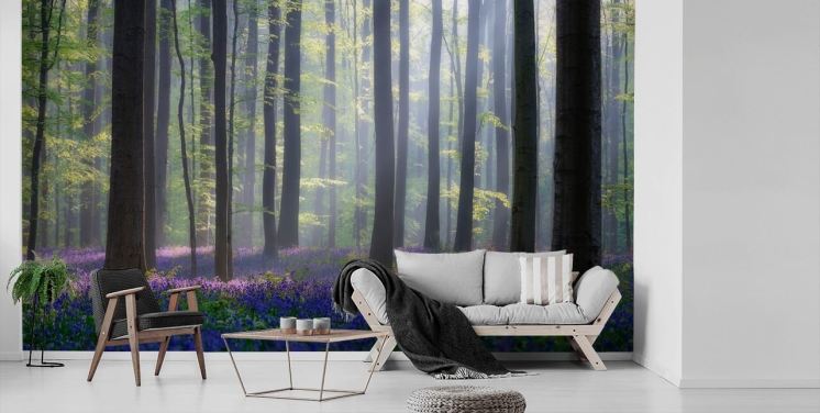 misty bluebell forest wallpaper