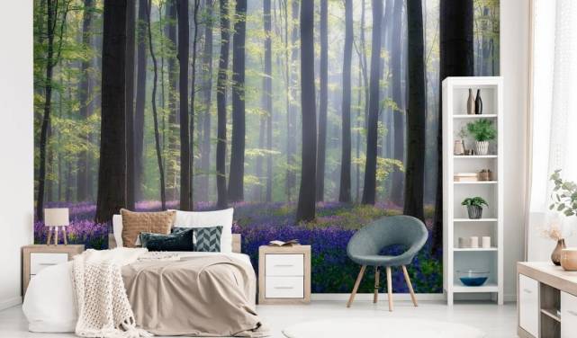 misty bluebell forest behang