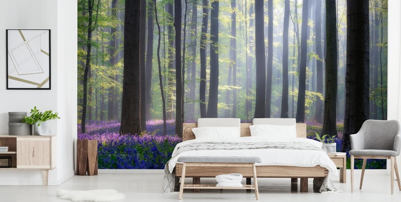 neblige Bluebell Wald Tapete