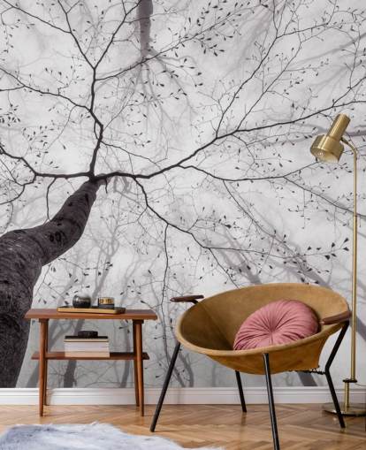 black and white tree view from the ground wallpaper black and white tree view from the ground wallpaper