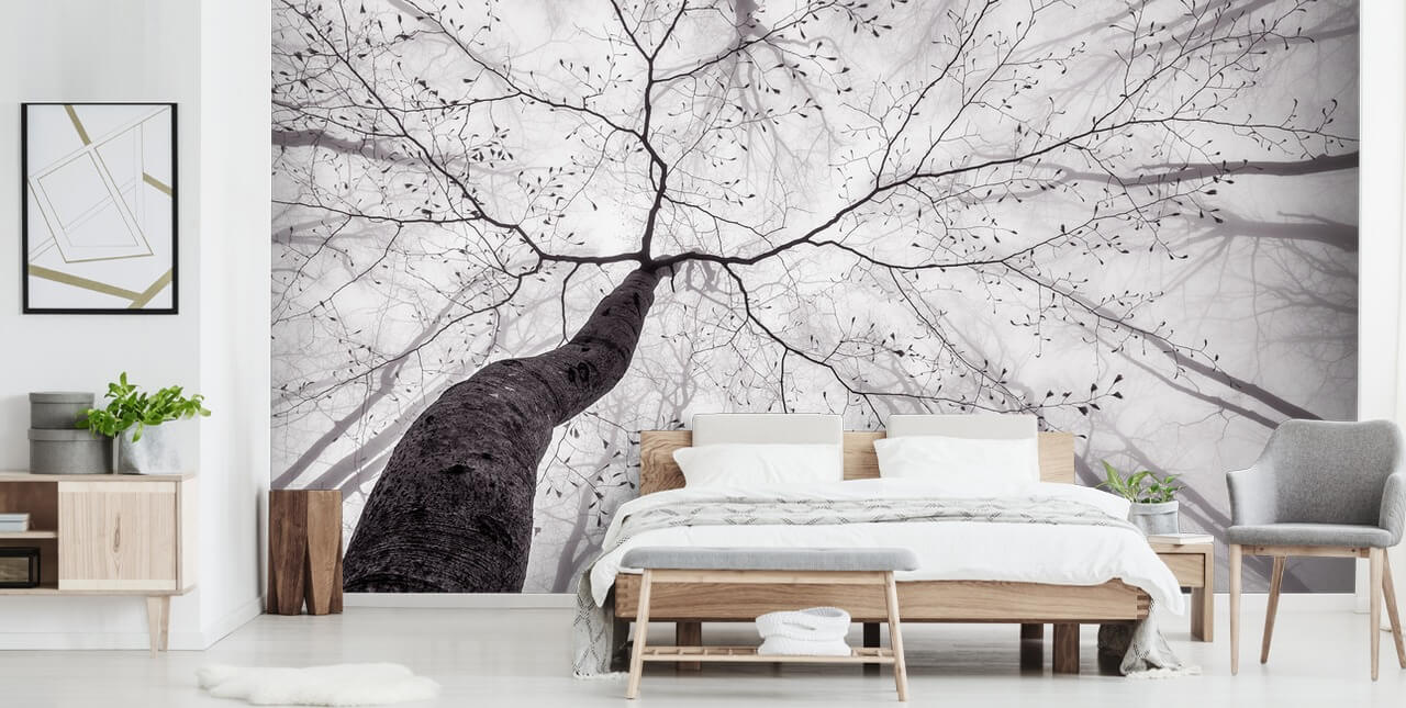 Tree Crown Tree Wallpaper