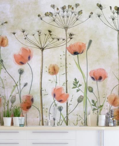 growing poppies wall mural growing poppies wall mural