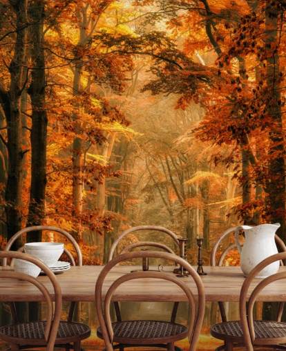 autumn forest wallpaper mural autumn forest wallpaper mural