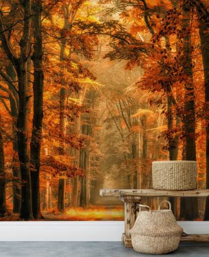 høstskog tapet veggmaleri høstskog tapet veggmaleri