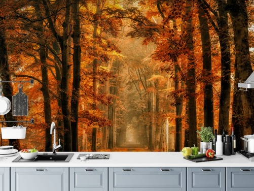 mural de papel pintado de bosque otoñal
