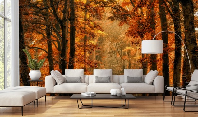 Tapeten-Wandbild „Herbstwald“