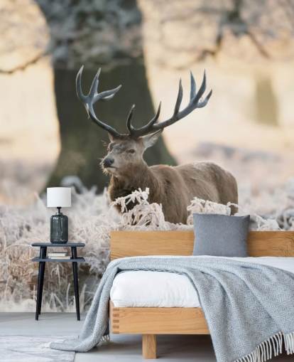 stag in winter setting wallpaper stag in winter setting wallpaper