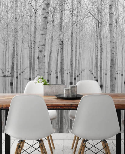 black and white birch tree forest wallpaper black and white birch tree forest wallpaper