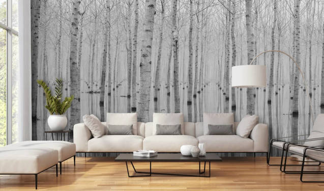 Birch Tree Wallpaper & Wall Murals | Wallsauce UK