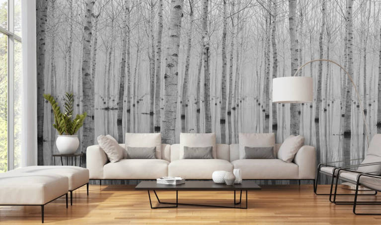 Birch Tree Wallpaper & Wall Murals | Wallsauce US