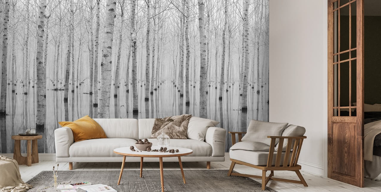 Birch Lake Wall Mural | Wallsauce US