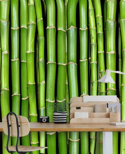 Green Stalks of Bamboo Wallpaper Green Stalks of Bamboo Wallpaper