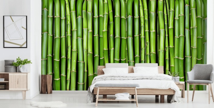 Papel pintado de tallos verdes de bambú