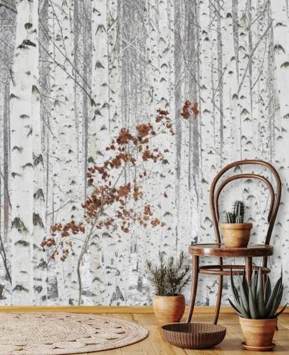 black and white birch tree woodland with touches of autumn leaves wallpaper black and white birch tree woodland with touches of autumn leaves wallpaper