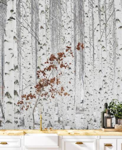 black and white birch tree woodland with touches of autumn leaves wallpaper black and white birch tree woodland with touches of autumn leaves wallpaper