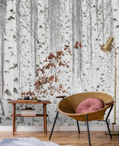 black and white birch tree woodland with touches of autumn leaves wallpaper black and white birch tree woodland with touches of autumn leaves wallpaper