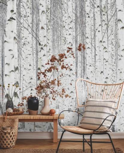 black and white birch tree woodland with touches of autumn leaves wallpaper black and white birch tree woodland with touches of autumn leaves wallpaper
