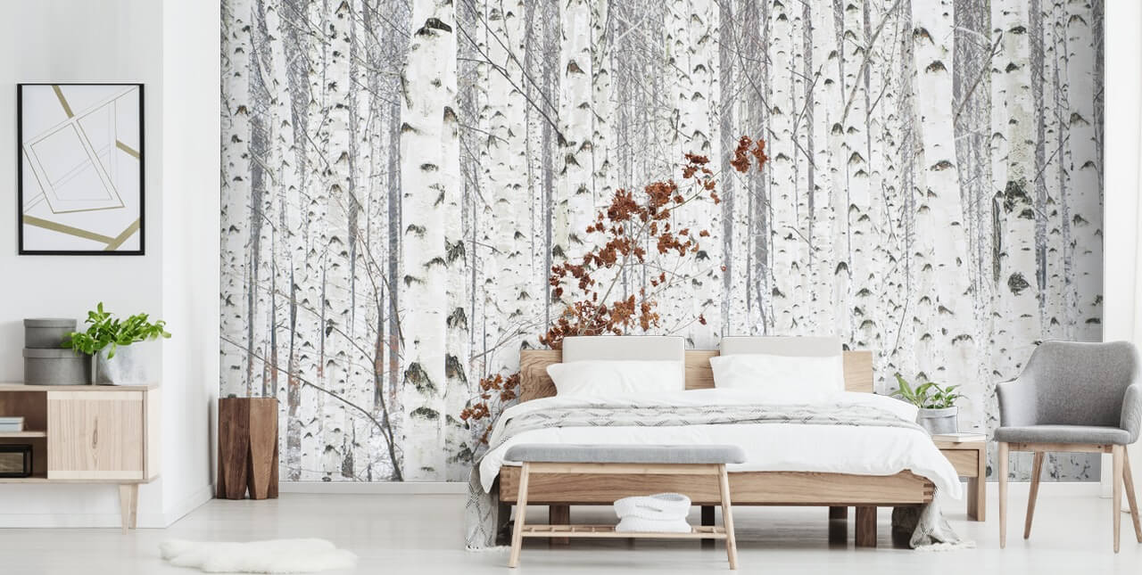 Fondo de pantalla de abedul blanco y negro con toques de hojas de otoño Fondo de pantalla de abedul blanco y negro con toques de hojas de otoño