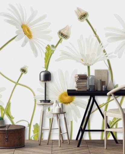 large daisies growing from ground wallpaper large daisies growing from ground wallpaper