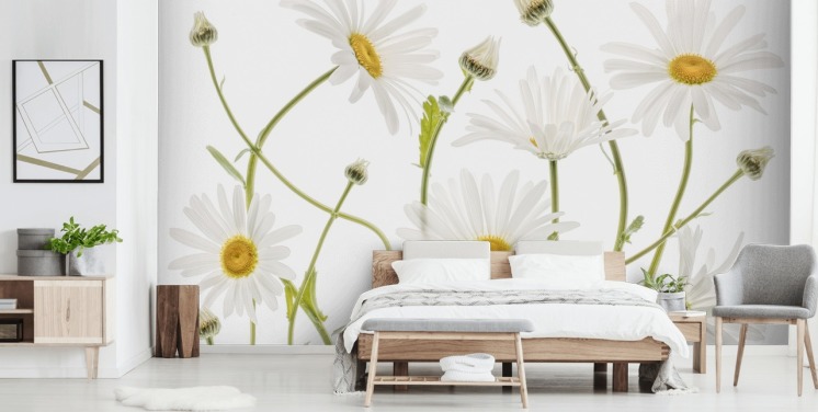 large daisies growing from ground wallpaper