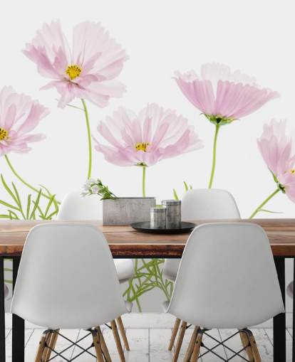 vaaleanpunainen kukka kasvaa maasta tapetti vaaleanpunainen kukka kasvaa maasta tapetti