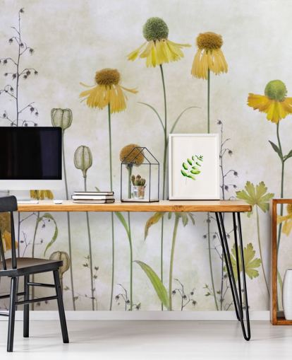 keltainen helenium kukkia tapetti keltainen helenium kukkia tapetti