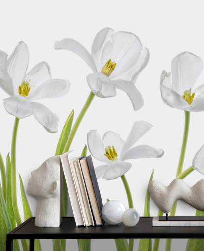 tulipes blanches poussant du papier peint au sol tulipes blanches poussant du papier peint au sol