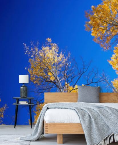 blue sky with yellow trees wallpaper blue sky with yellow trees wallpaper