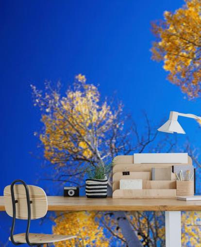 blå himmel med gule trær tapet blå himmel med gule trær tapet