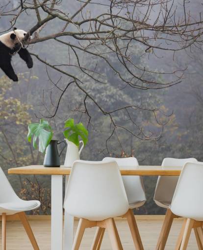 Panda in einem Baum Tapete Panda in einem Baum Tapete
