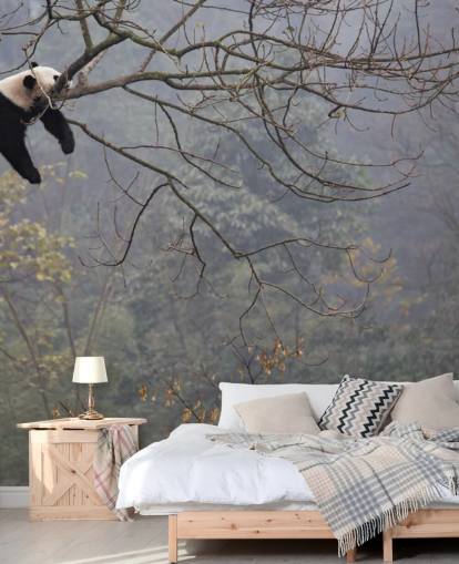 panda in a tree wallpaper panda in a tree wallpaper