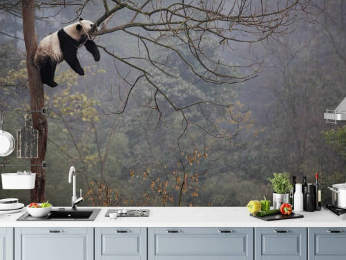 panda i et tre tapet