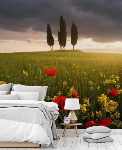 Fondo de pantalla de campo toscano con amapolas rojas Fondo de pantalla de campo toscano con amapolas rojas