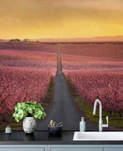 long road with pink blossom trees wallpaper long road with pink blossom trees wallpaper