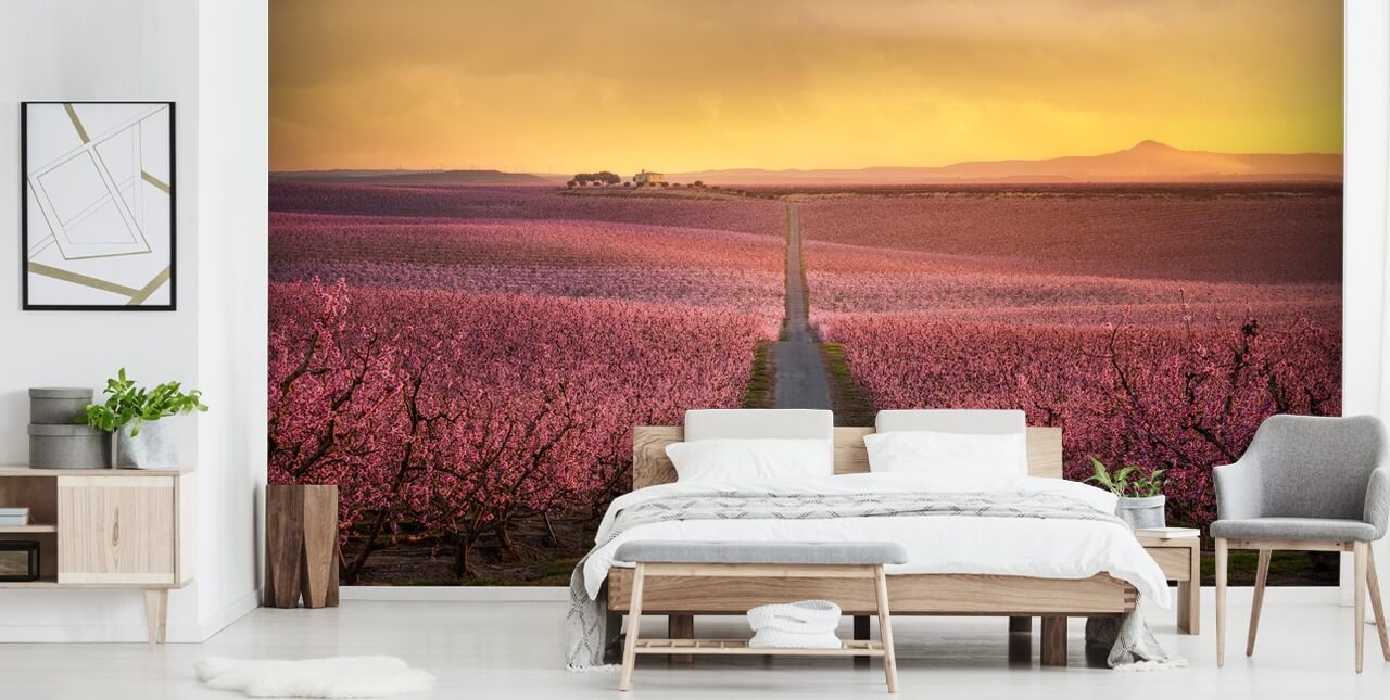 fond d'écran longue route avec des arbres de fleurs roses