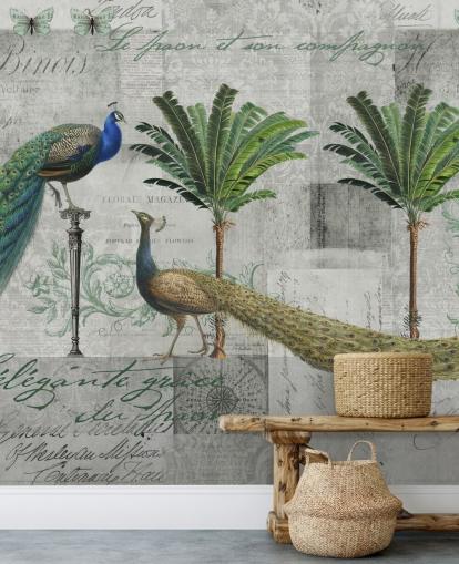 kaksi riikinkukkoa trooppisessa ympäristössä tapetti kaksi riikinkukkoa trooppisessa ympäristössä tapetti