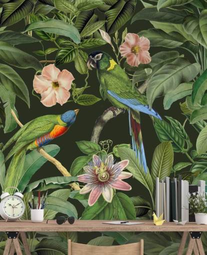papel de parede tropical selva e pássaros papel de parede tropical selva e pássaros