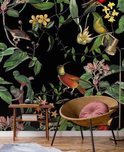 papier peint colibri jungle tropicale  papier peint colibri jungle tropicale