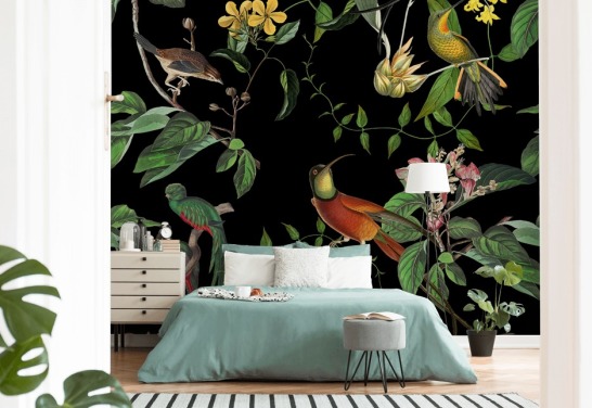 tropische jungle kolibrie behang 