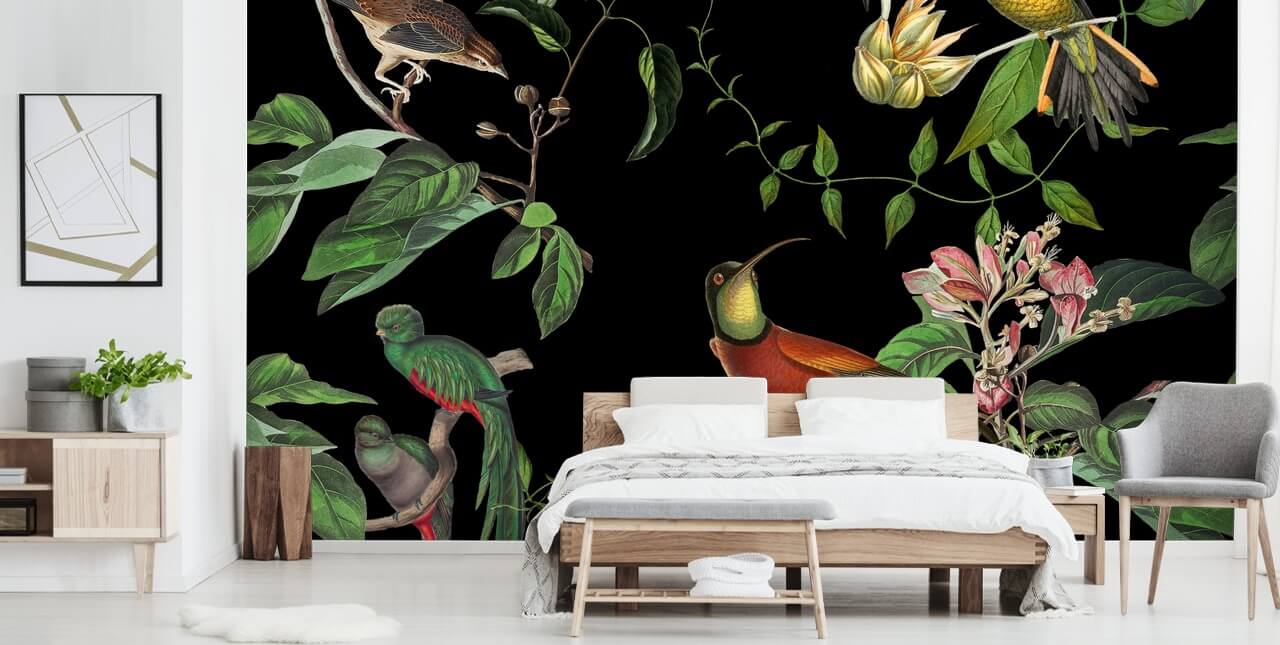 tropische jungle kolibrie behang tropische jungle kolibrie behang