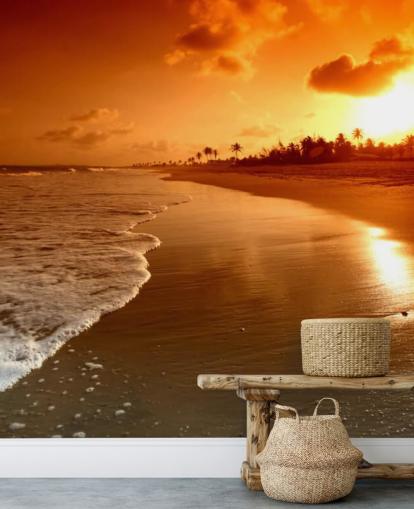 Oranssi auringonlasku trooppisella rannalla taustakuva Oranssi auringonlasku trooppisella rannalla taustakuva