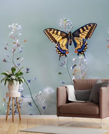 orange and blue butterfly resting on flowers wallpaper orange and blue butterfly resting on flowers wallpaper