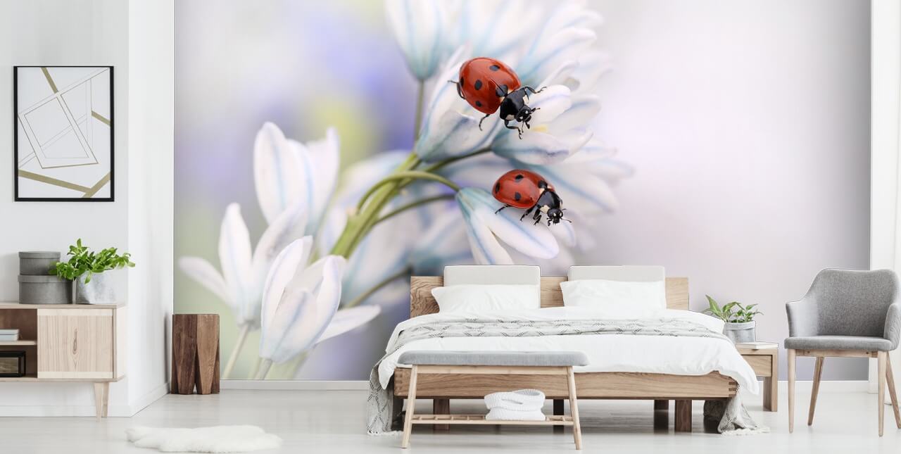 Lieveheersbeestjes op witte bloemen muurschildering