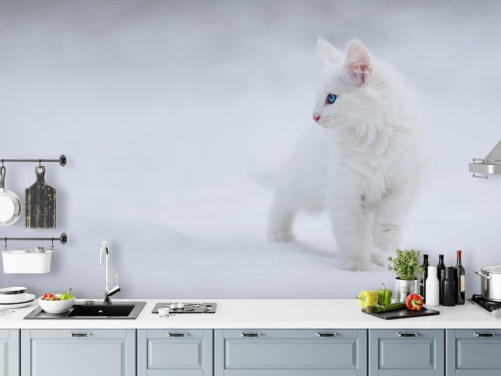 Mural de pared Gatito blanco en nieve