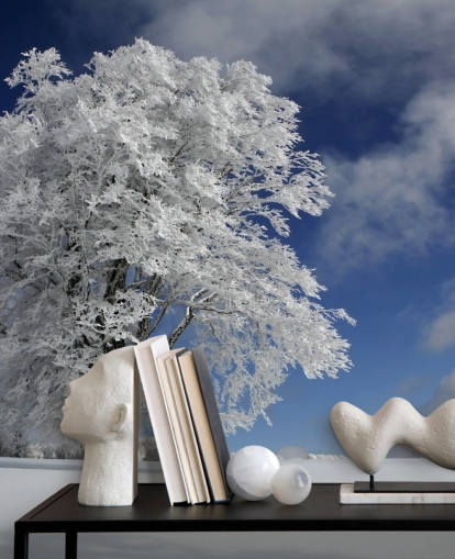 Windbuche branco no mural da parede da floresta negra Windbuche branco no mural da parede da floresta negra