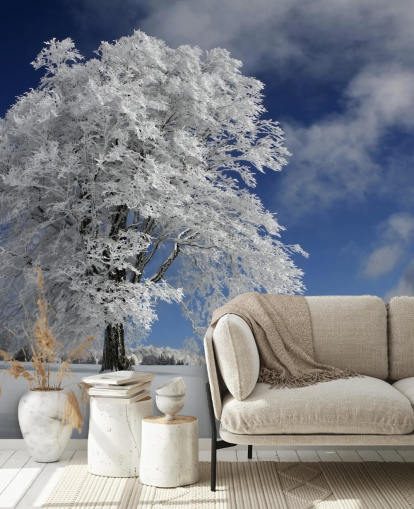 White Windbuche in Black Forest Wall Mural White Windbuche in Black Forest Wall Mural