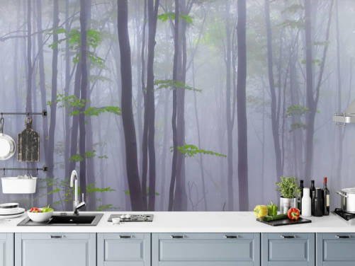 Forest Wallpaper & Tree Wall Murals | Wallsauce US